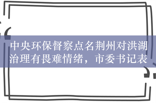 中央环保督察点名荆州对洪湖治理有畏难情绪，市委书记表态