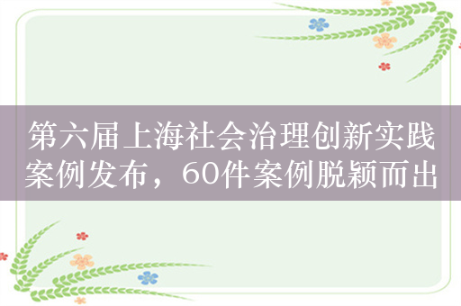 第六届上海社会治理创新实践案例发布，60件案例脱颖而出